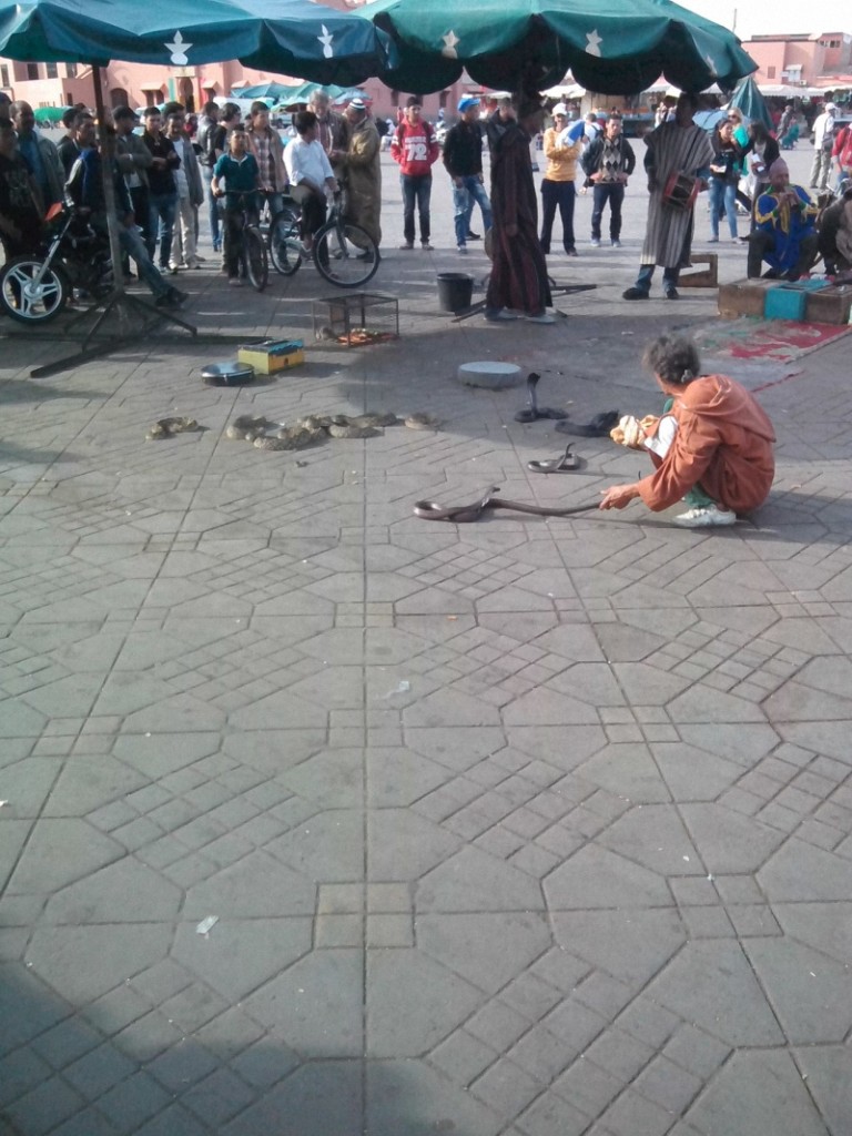 Marrakech5