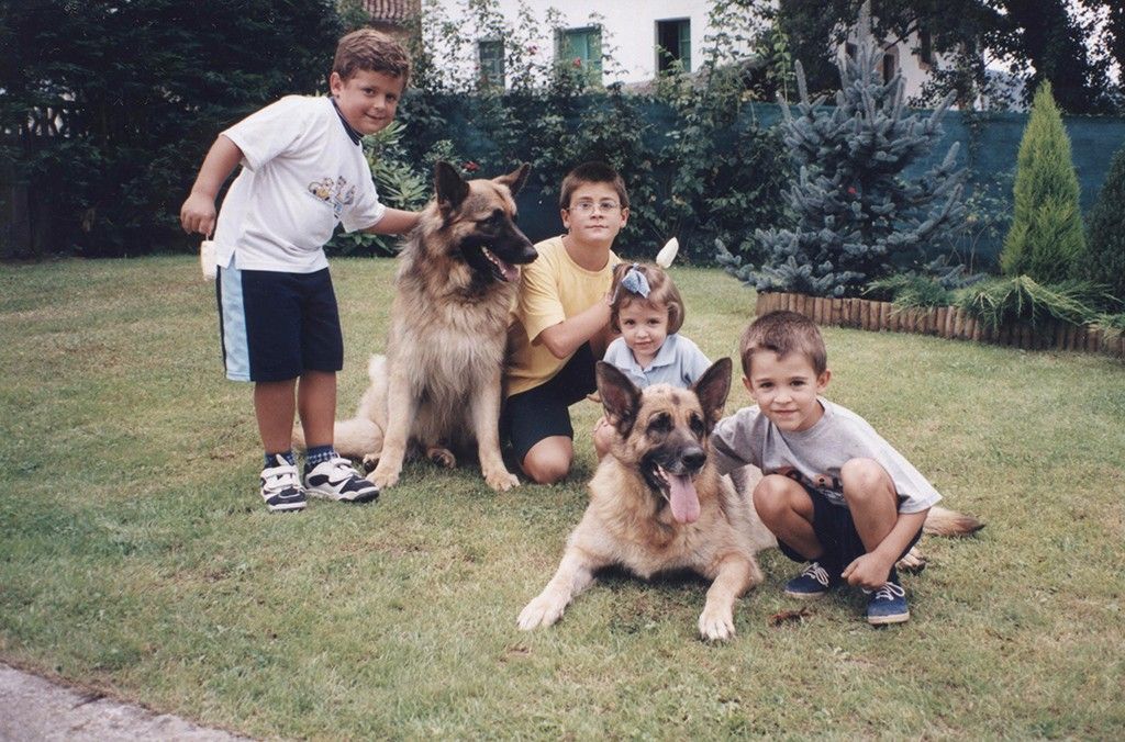 Sobrinos y perros
