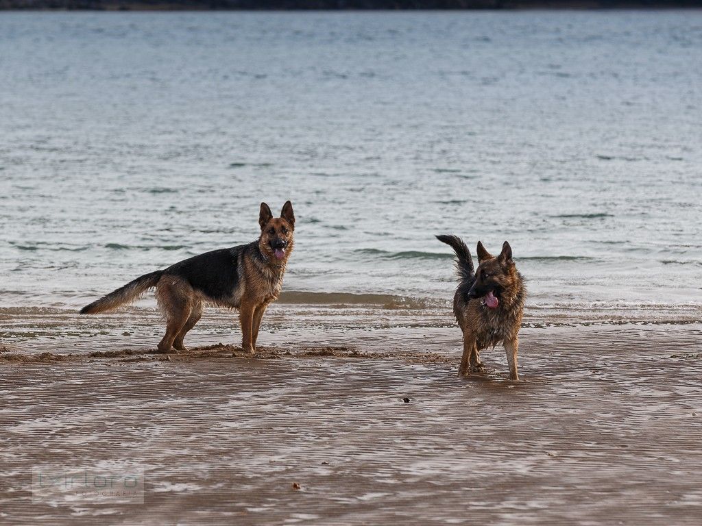 TX6D_01846_150113