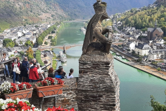Rhin2