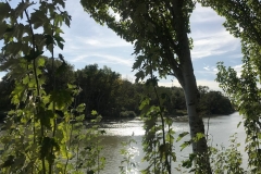 IMG-3702