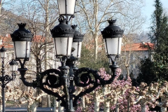 UFHO1901