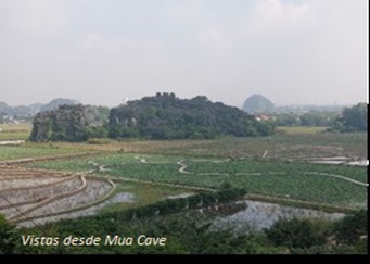 indochina-7b