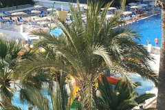 IMG_20211001_174603