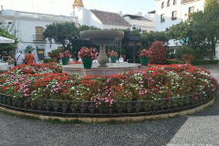 IMG_20211001_190840