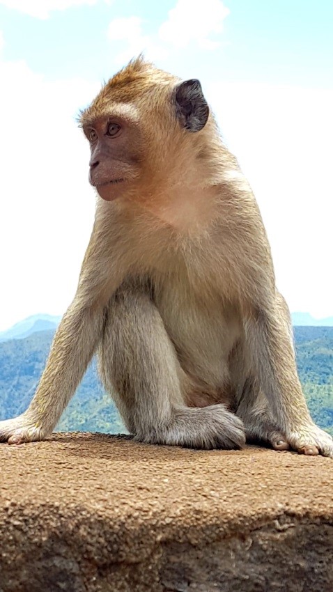 Mauricio26
