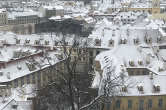 IMG-8297