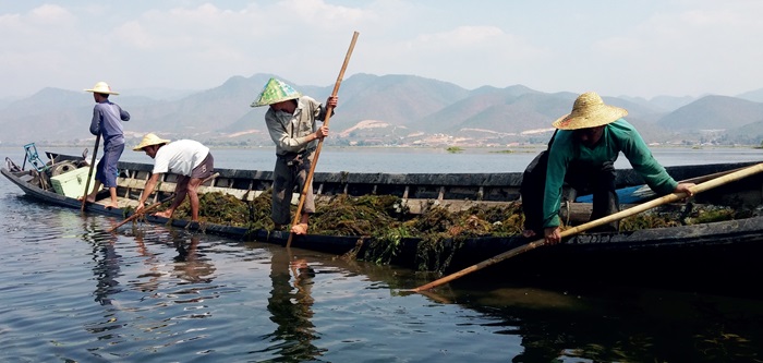 myanmar-137