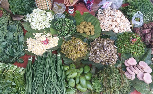 myanmar-171