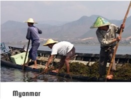 1_myanmar-1