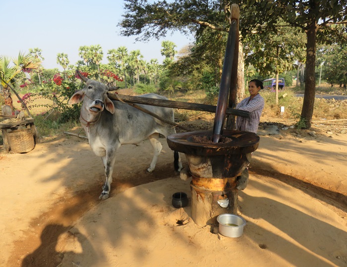 myanmar-111