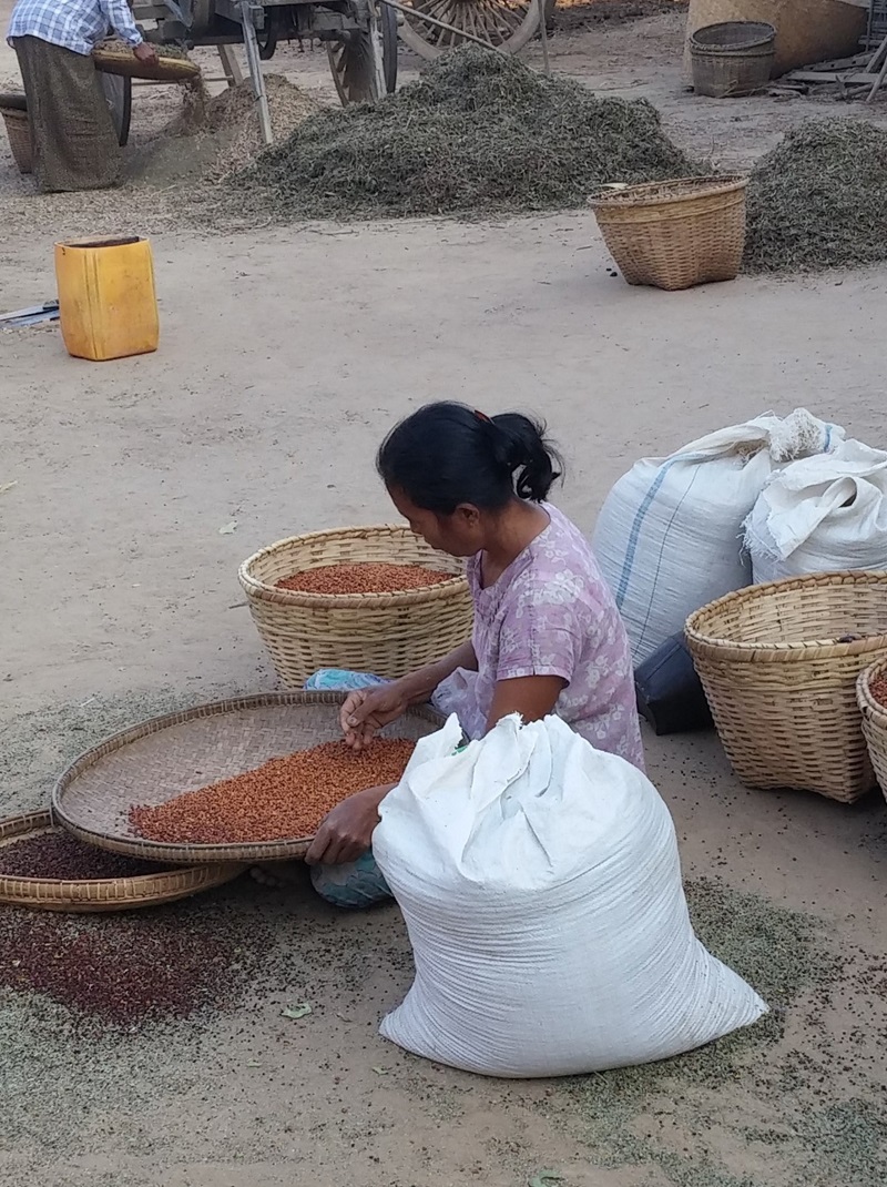 myanmar-125