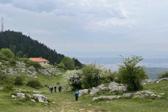 IMG_8902