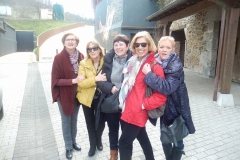 Excursion Petritegi 035