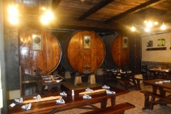 Excursion Petritegi 041