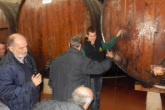 Excursion Petritegi 050