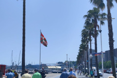 TYHB8389