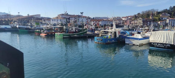 foto-1