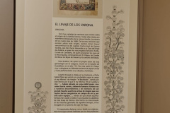 OILT7647