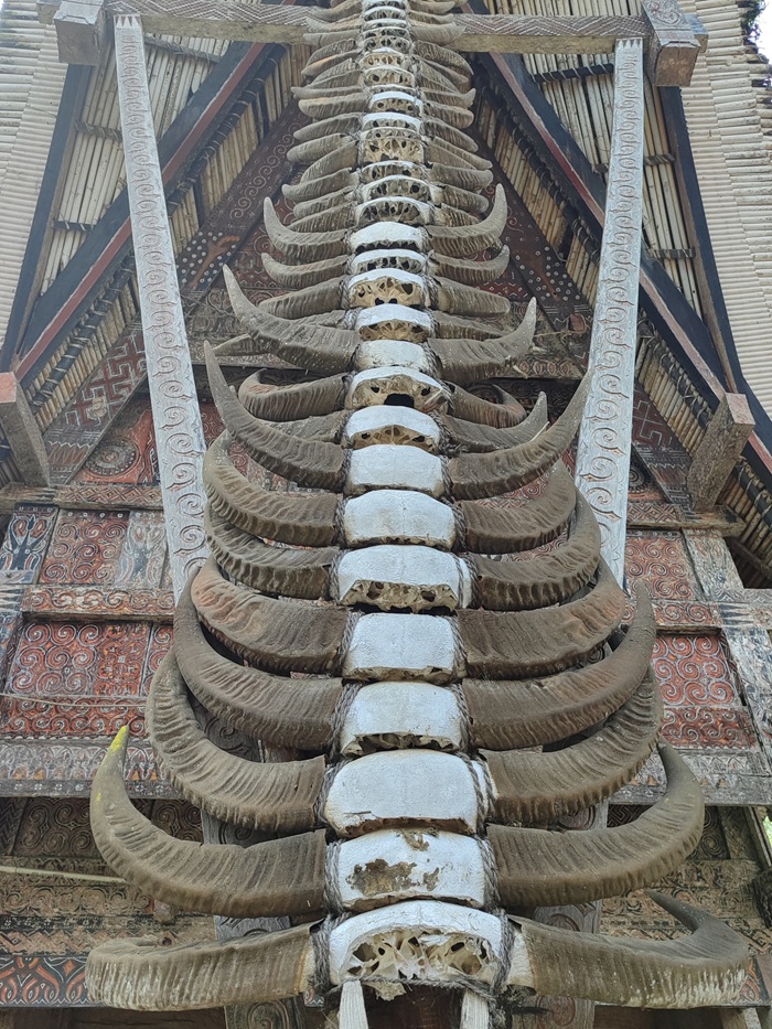 TANA-TORAJA-2