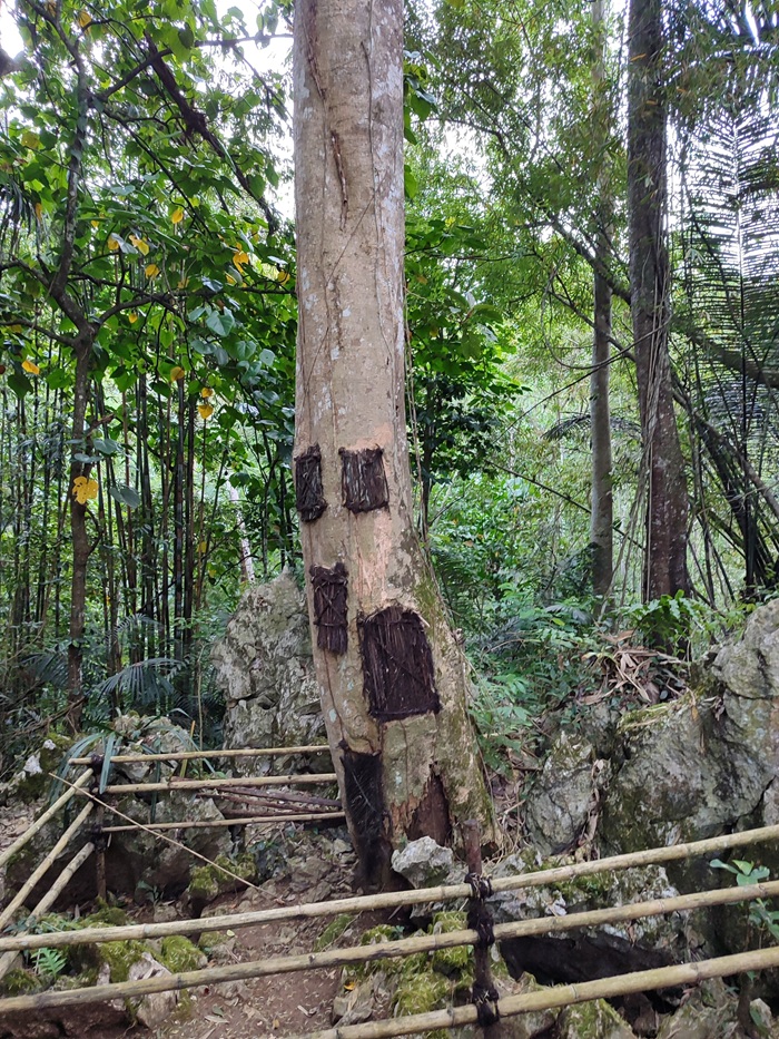 TANA-TORAJA-3
