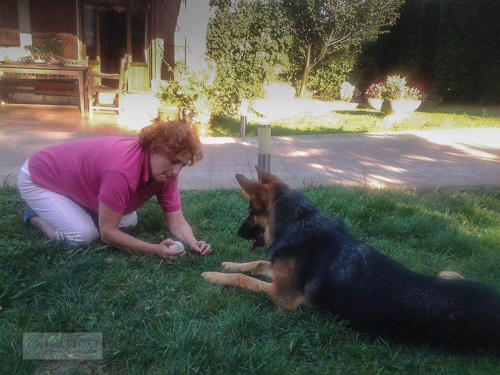 txP7510__20120731_192439_120805