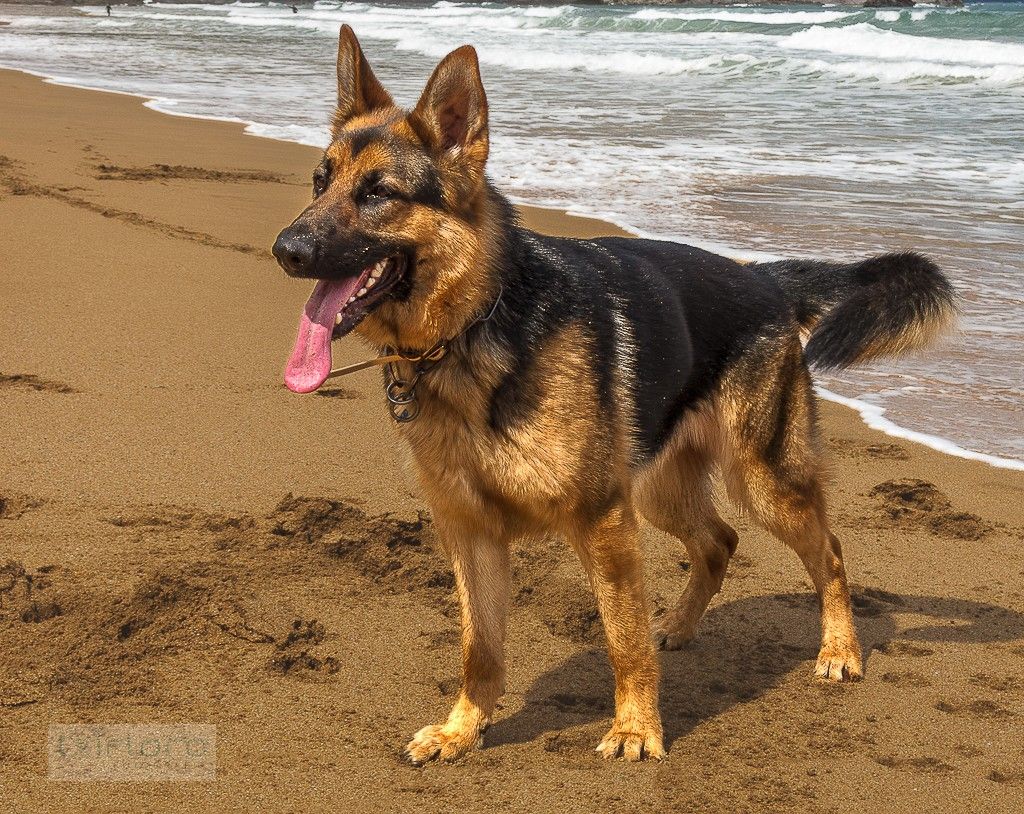 txS90_01713_120429-Editar_med